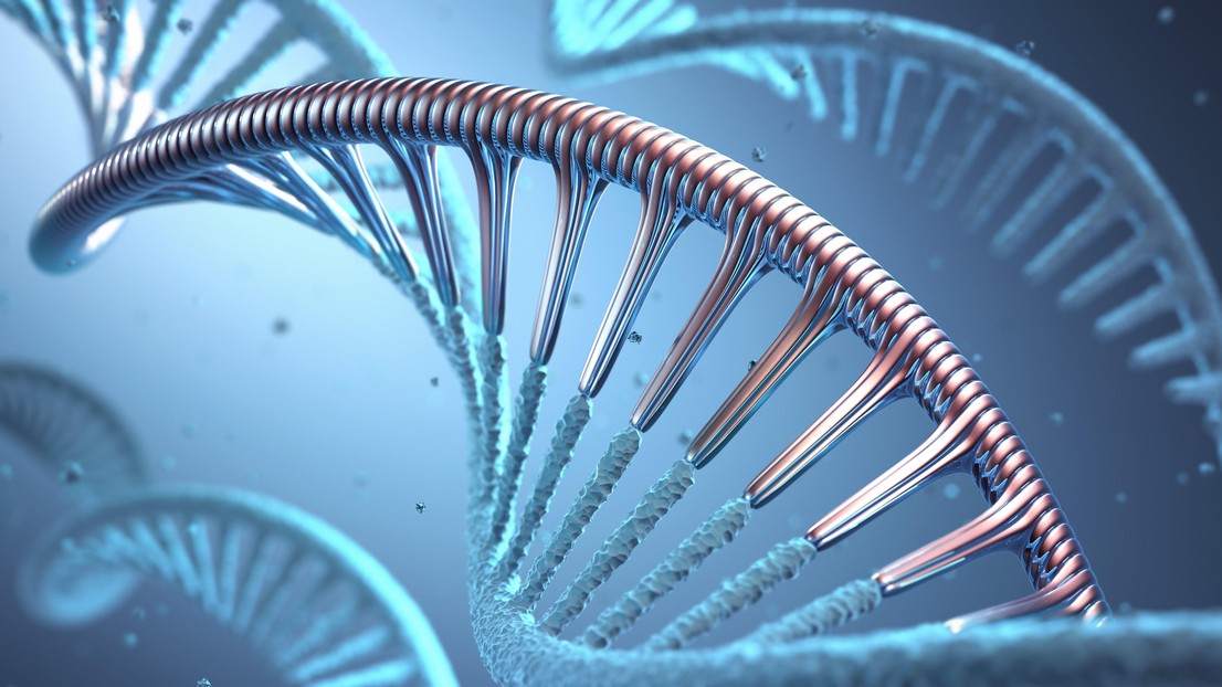 ADN ingénierie génétique © iStock