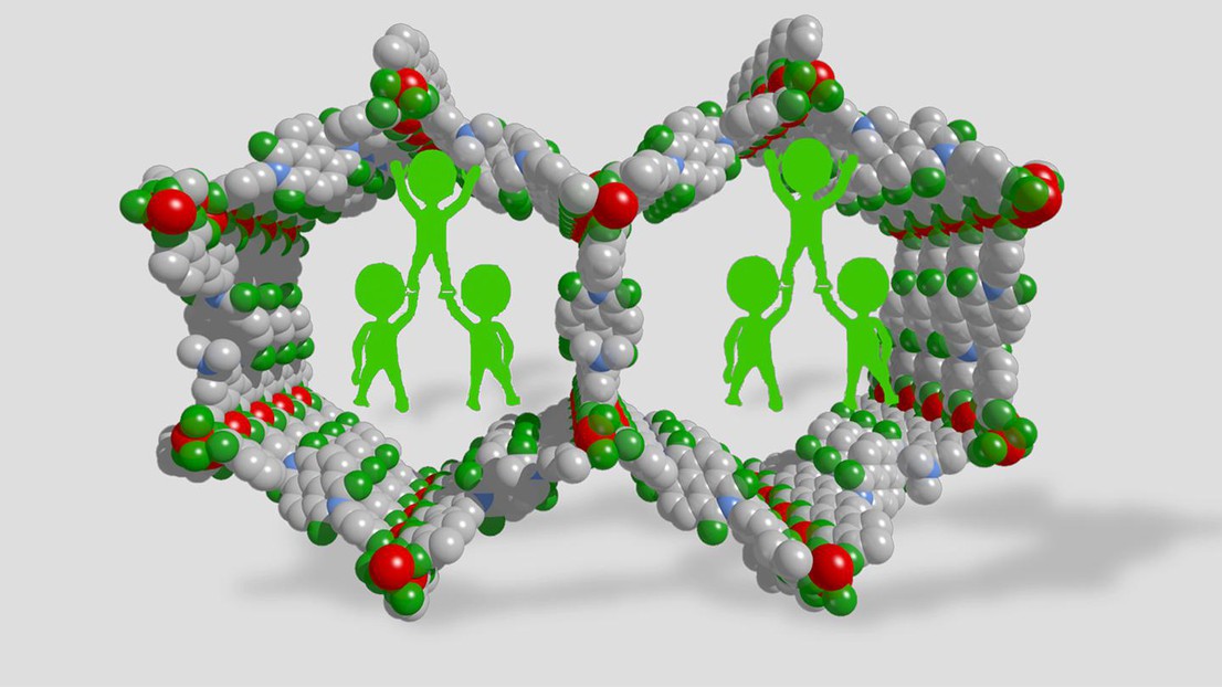 Polymer braces, placed inside large-pore MOFs, help to inhibit the collapse of the framework. Credit: Li Peng (EPFL)