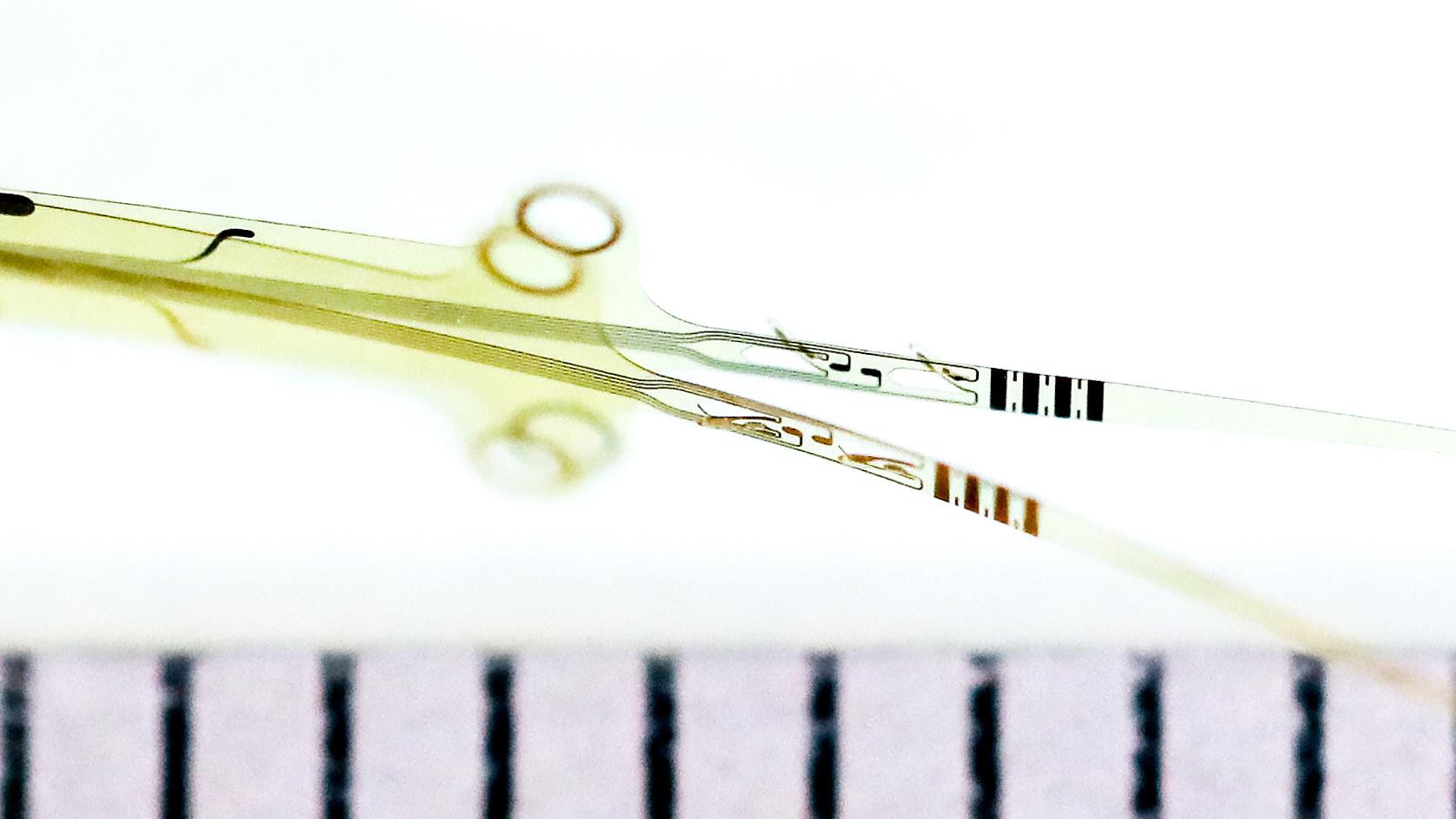 © 2019 EPFL/Alain Herzog OpticSELINE electrode array for intraneural stimulation of the optic nerve.