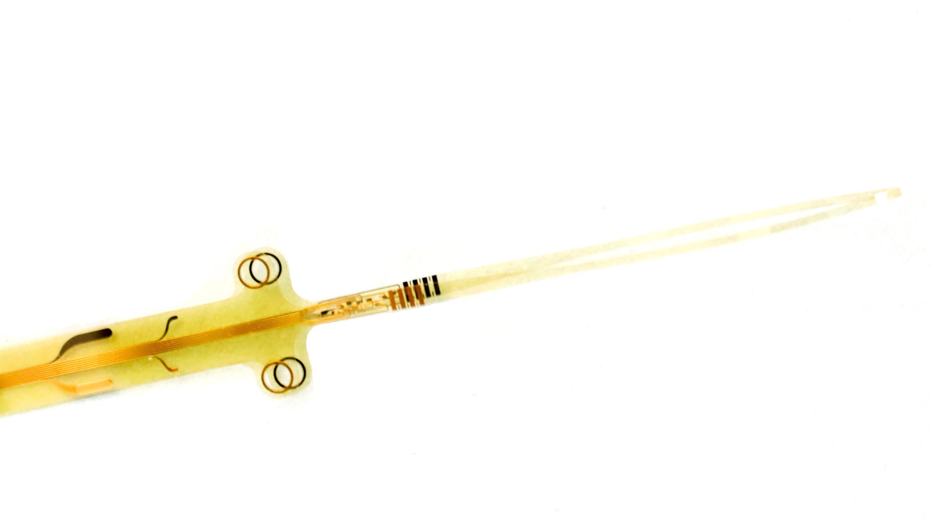 © 2019 EPFL/Alain Herzog OpticSELINE electrode array for intraneural stimulation of the optic nerve.