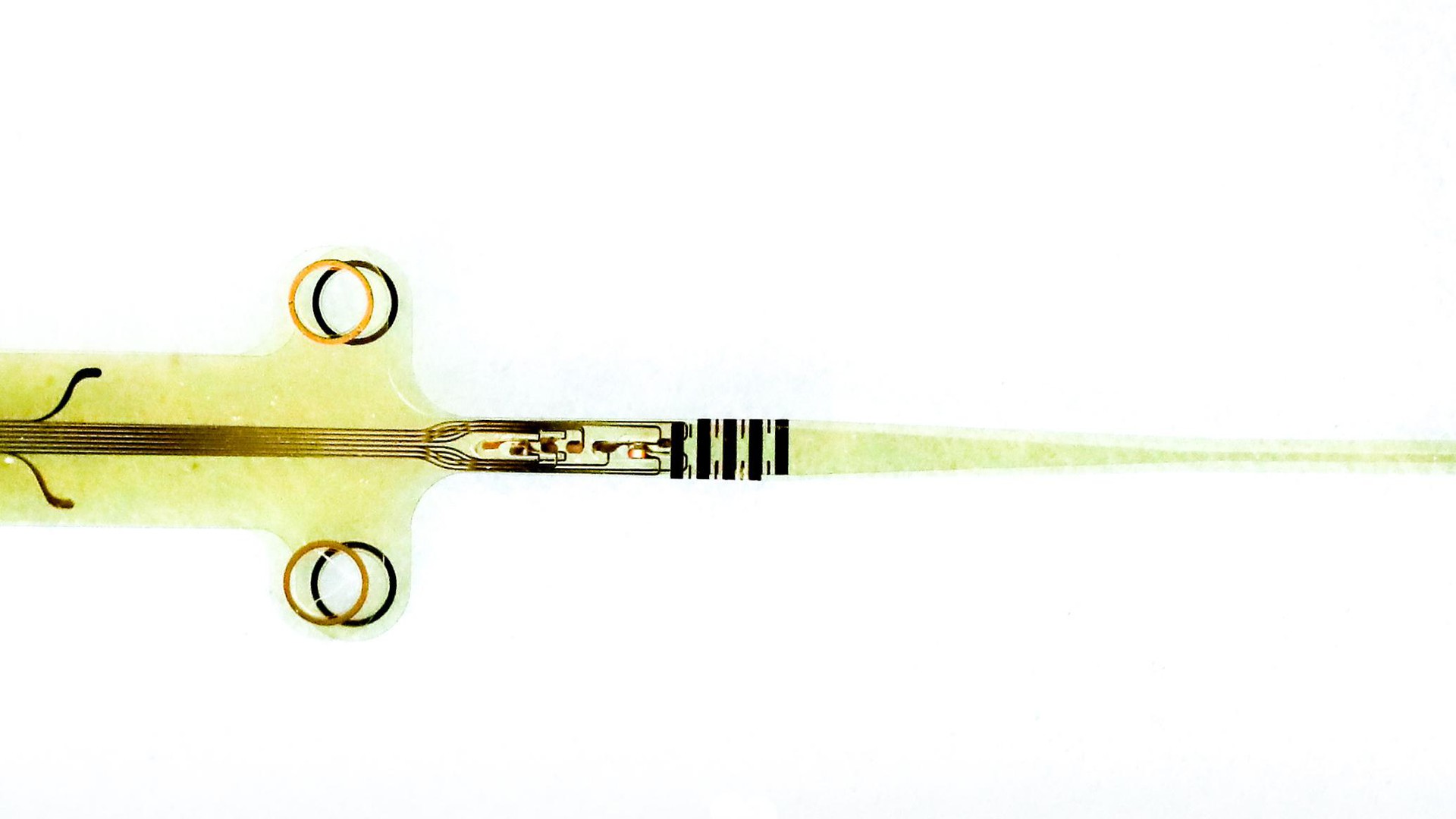© 2019 EPFL/Alain Herzog OpticSELINE electrode array for intraneural stimulation of the optic nerve.