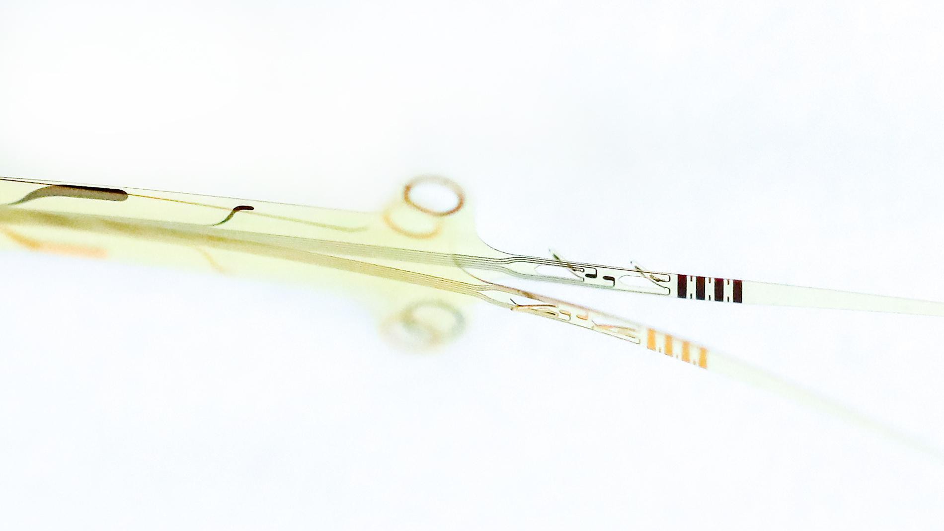 © 2019 EPFL/Alain Herzog OpticSELINE electrode array for intraneural stimulation of the optic nerve.