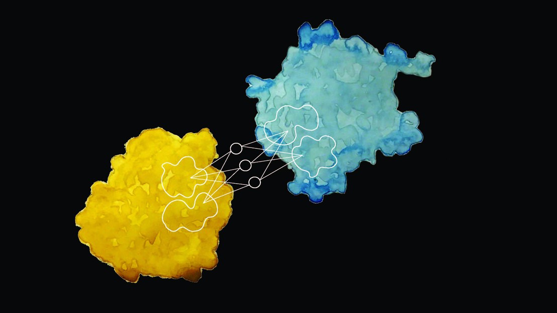 L'interaction entre les protéines est à la base de toute ce qui est lié au vivant © Laura Persat / 2019 EPFL