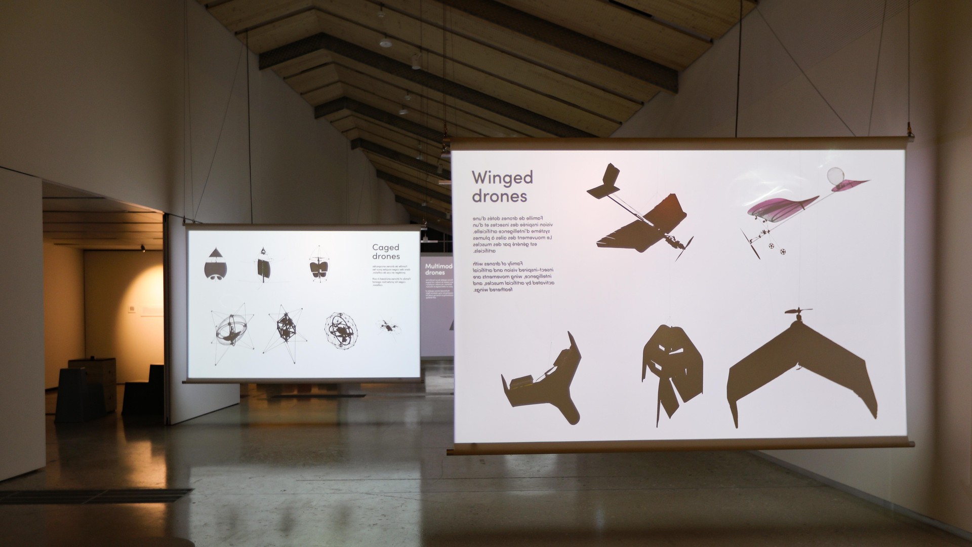 Shadows of Drones © Alain Herzog