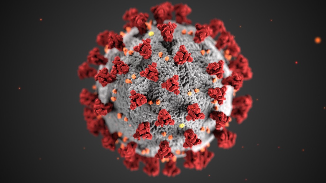 Image du CDC montrant la morphologie ultrastructurale présentée par les coronavirus © Alissa Eckert, MS; Dan Higgins, MAMS