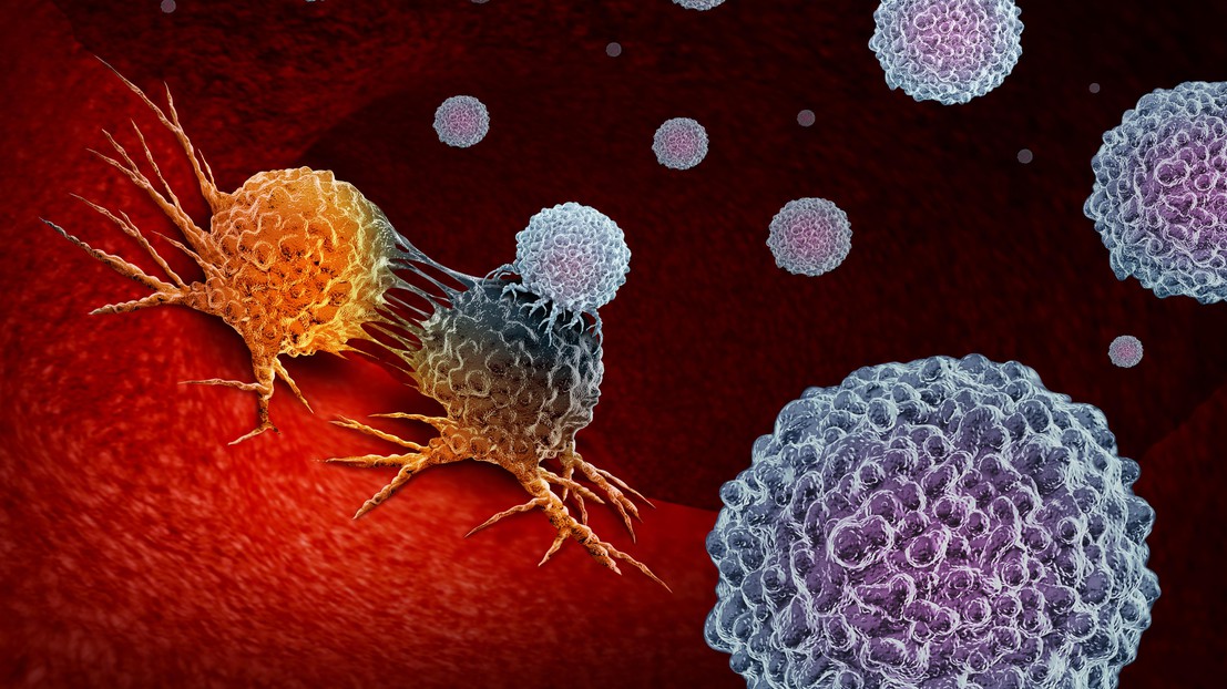Illustration of immune cells attacking cancer cells (iStock)