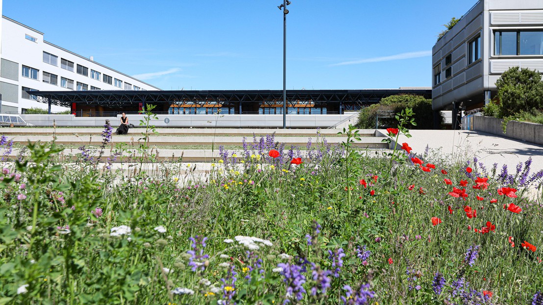 Lundi matin, le campus de l'EPFL reprenait lentement vie. © EPFL/Alain Herzog