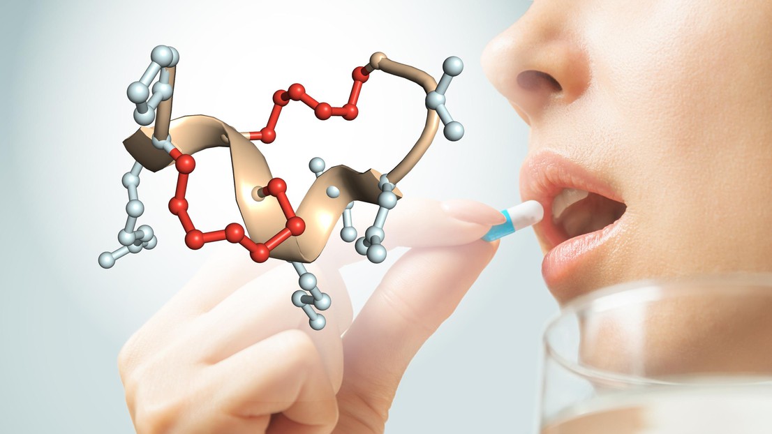 Structure of a double-bridged peptide that is not degraded by enzymes in the stomach and intestines. The two stabilizing chemical bridges are shown in red. Credit: C. Heinis (EPFL)