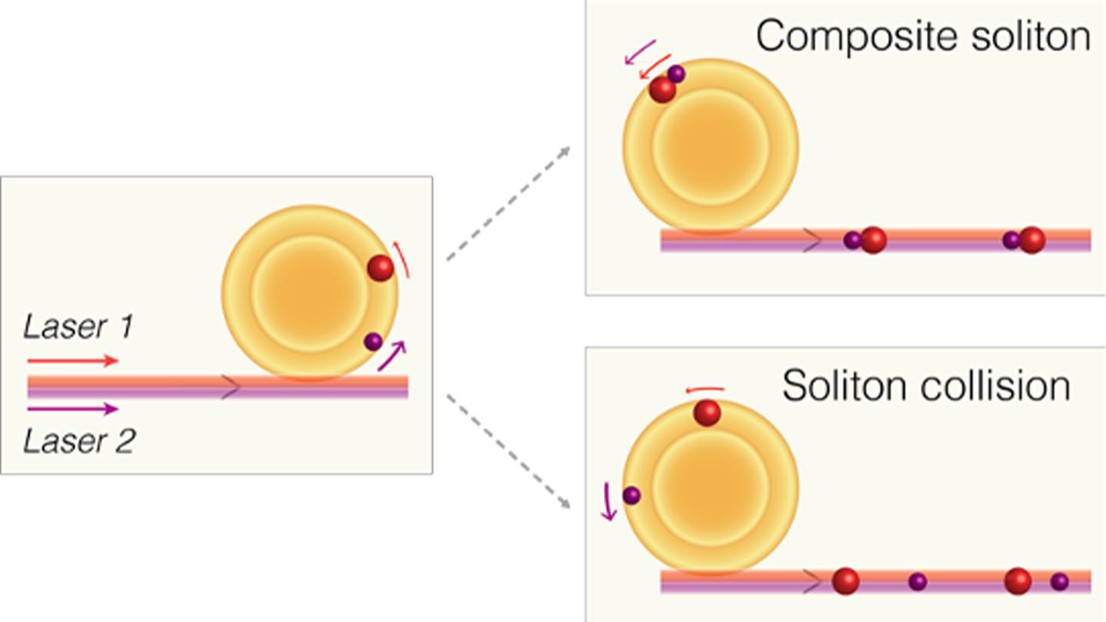 Solitons driven by different lasers, can either join each other to form an undivided entity or repeatedly collide into and cross each other. Credit: Weng Wenle/EPFL