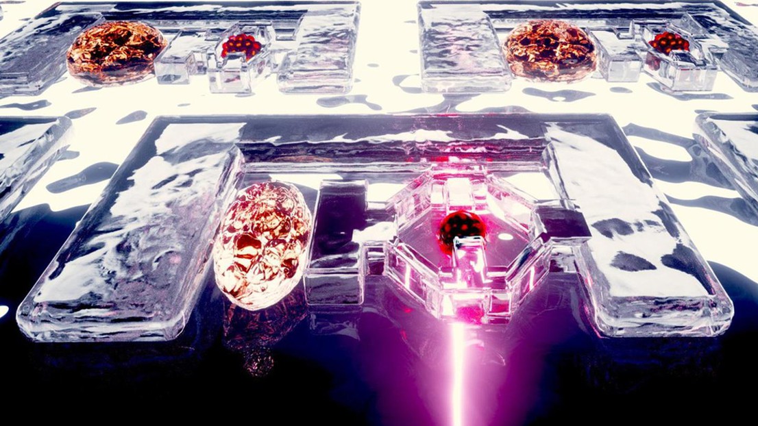 Gummy-like robots, EPFL MicroBioRobotic Systems Laboratory MICROBS