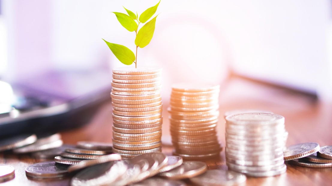 Trois familles conceptuelles se partagerent le concept d'économie verte.© iStock Trois familles conceptuelles se partagerent le concept d'économie verte.© iStock