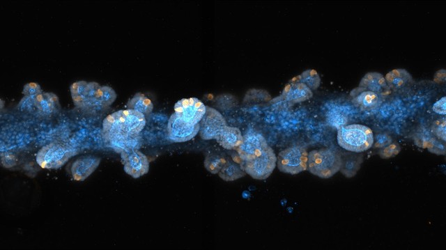 640x360.jpg