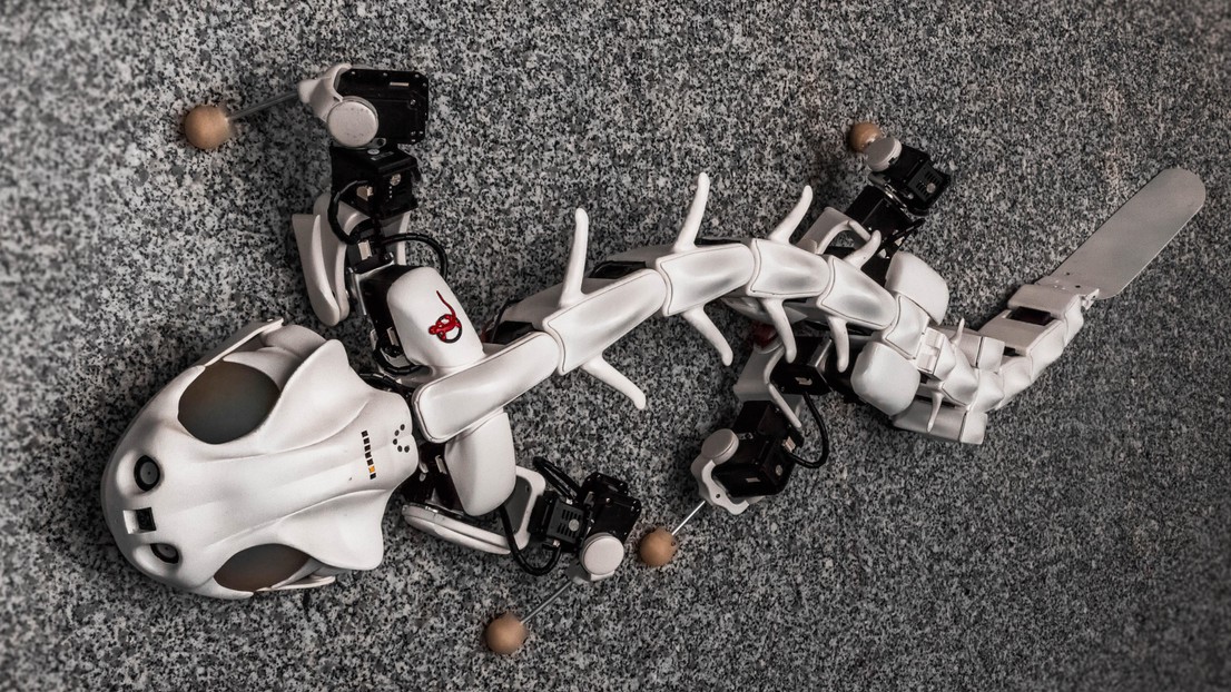 Le robot salamandre Pleurobot développé au sein du Laboratoire de biorobotique de l'EPFL sera amélioré dans le cadre de ce projet © Konstantinos Karakasiliotis & Robin Thandiackal, BioRob/EPFL Le robot salamandre Pleurobot développé au sein du Laboratoire de biorobotique de l'EPFL sera amélioré dans le cadre de ce projet © Konstantinos Karakasiliotis & Robin Thandiackal, BioRob/EPFL