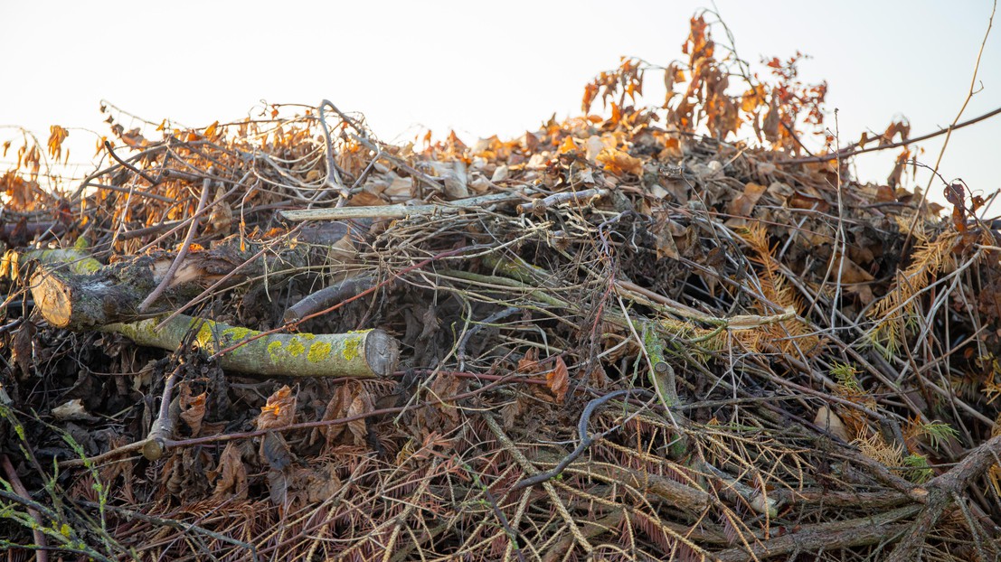 Organic waste from agroforestry  is a good example of large scale biomass. ©iStock