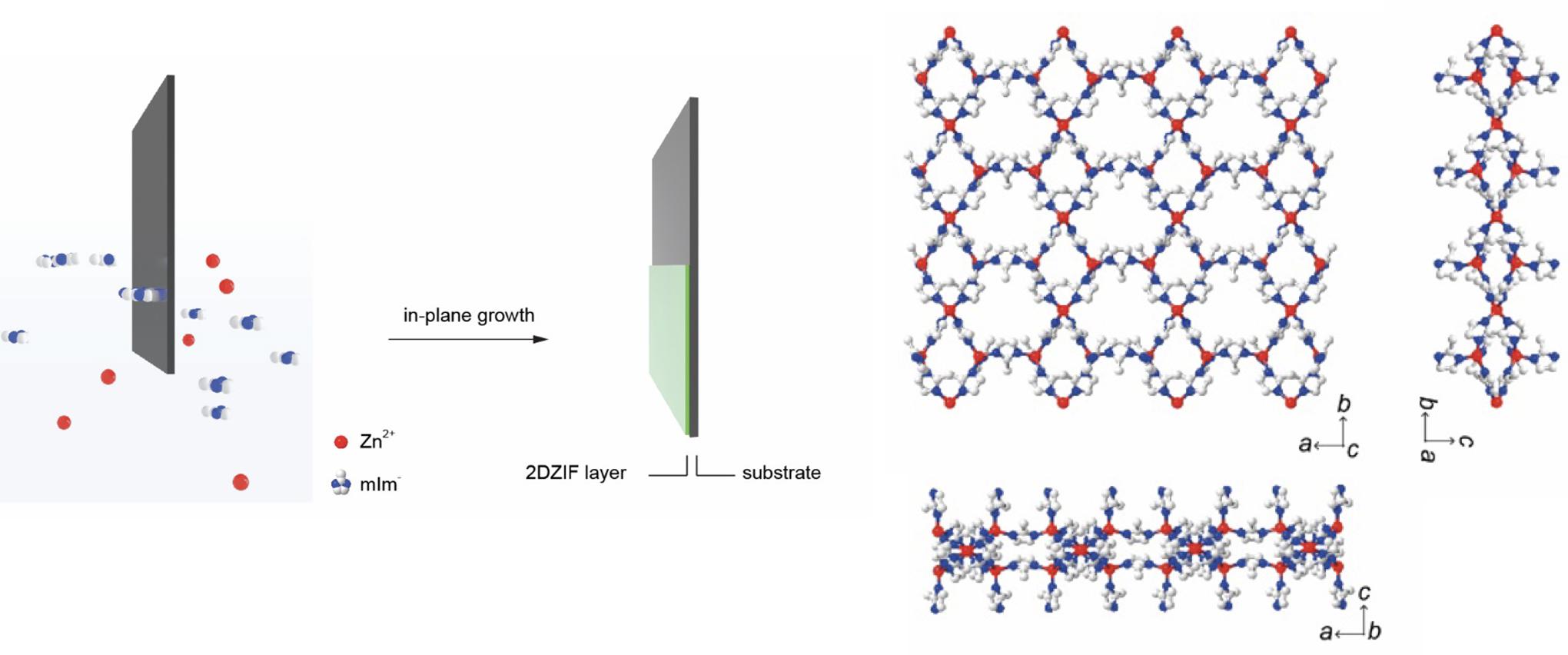 Schematic showing straightforward crystallization of 2d ZIF film by dipping a substrate in ultradilute precursor solution at room temperature (left). Right: Crystal structure of 2d ZIF where white, blue, and red atoms represent carbon, nitrogen, and zinc atoms. Credit: Qi Liu, EPFL.