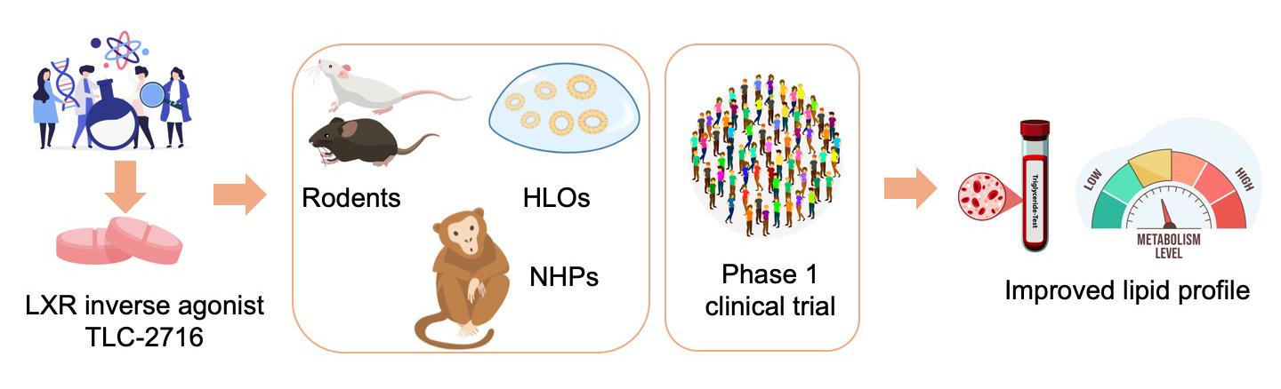 Credit: X. Li/ &copy; 2026 EPFL