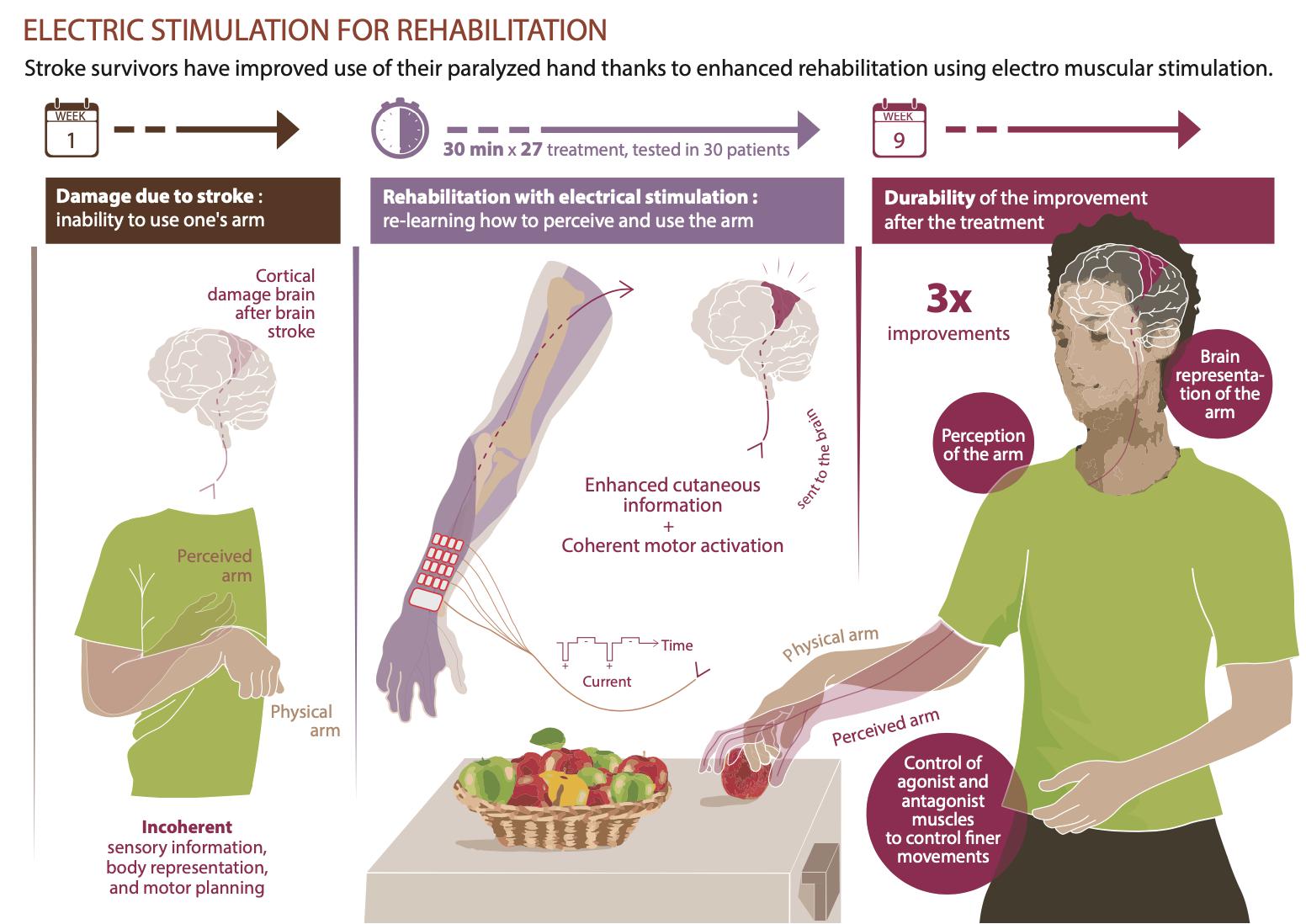 Assessment Of Motor And Sensory Function at Juliet Mcvay blog