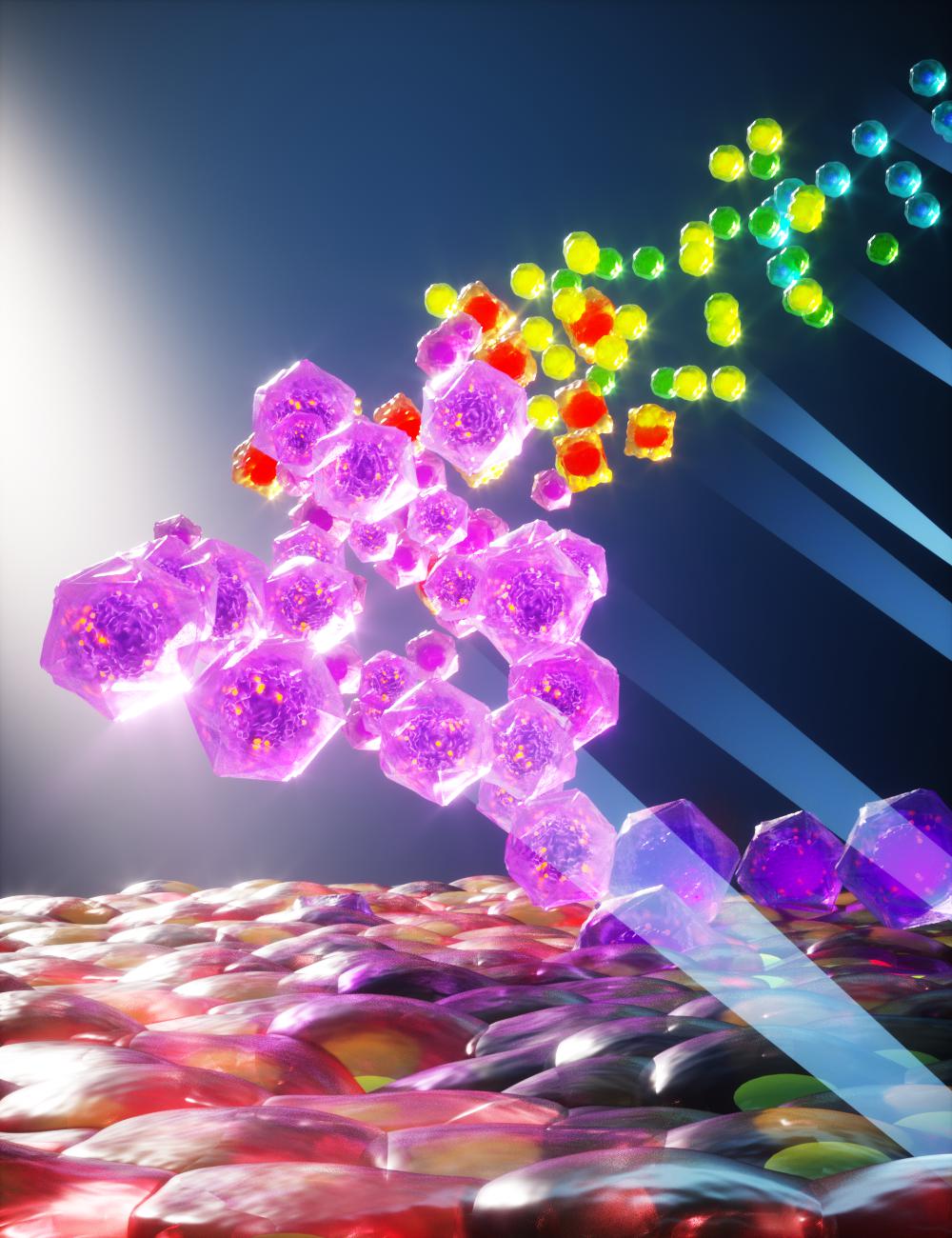 The differentiation of human embryonic stem cells into retinal pigment epithelium for therapeutic use to treat acute macular degeneration. The “spotlights” represent the use of single-cell RNA sequencing to reveal the gene expression state of cells at early, mid, and late time points of retinal pigment epithelium differentiation. Credit: Ella Maru Studio.