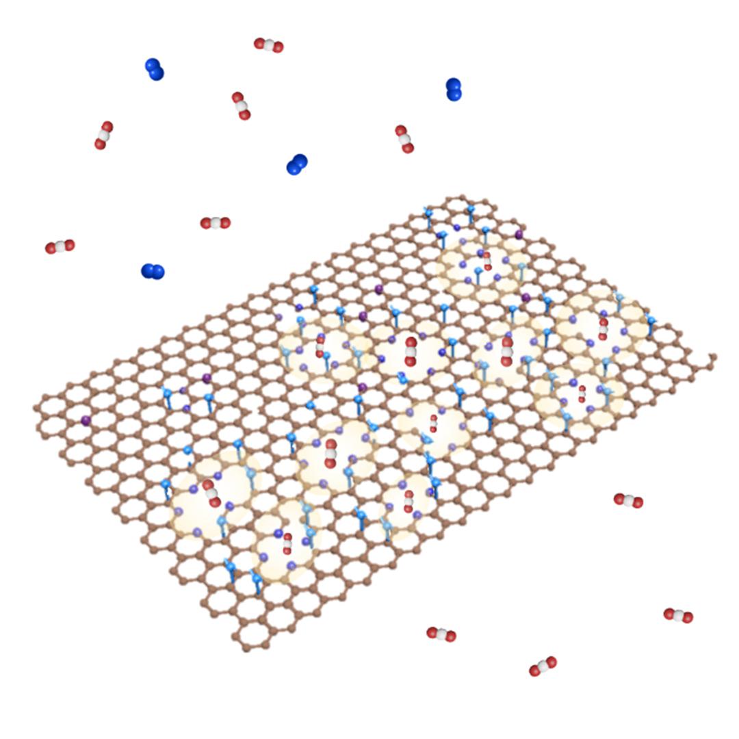 Schéma d’un graphène poreux renfermant de l’azote pyridinique (représenté par des sphères violettes) en bordure de pore. La membrane ainsi obtenue présente un haut pouvoir de captage sélectif du CO2. Crédit: Kuang-Jung Hsu (EPFL)