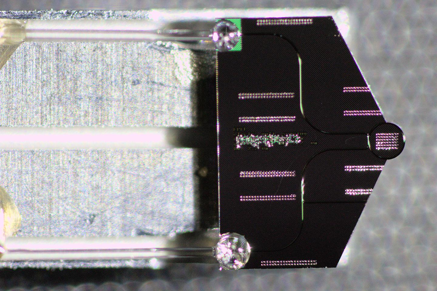 Photonic chip used in this study, mounted on a transmission electron microscope sample holder and packaged with optical fibers. Credit: Yang et al. DOI: 10.1126/science.adk2489