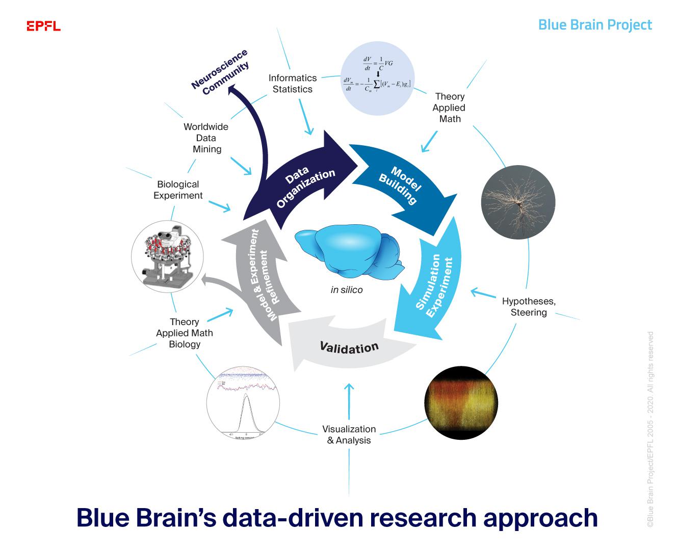 blue brain research paper