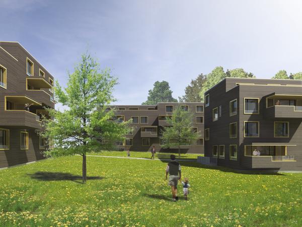 Swisswoodhouse