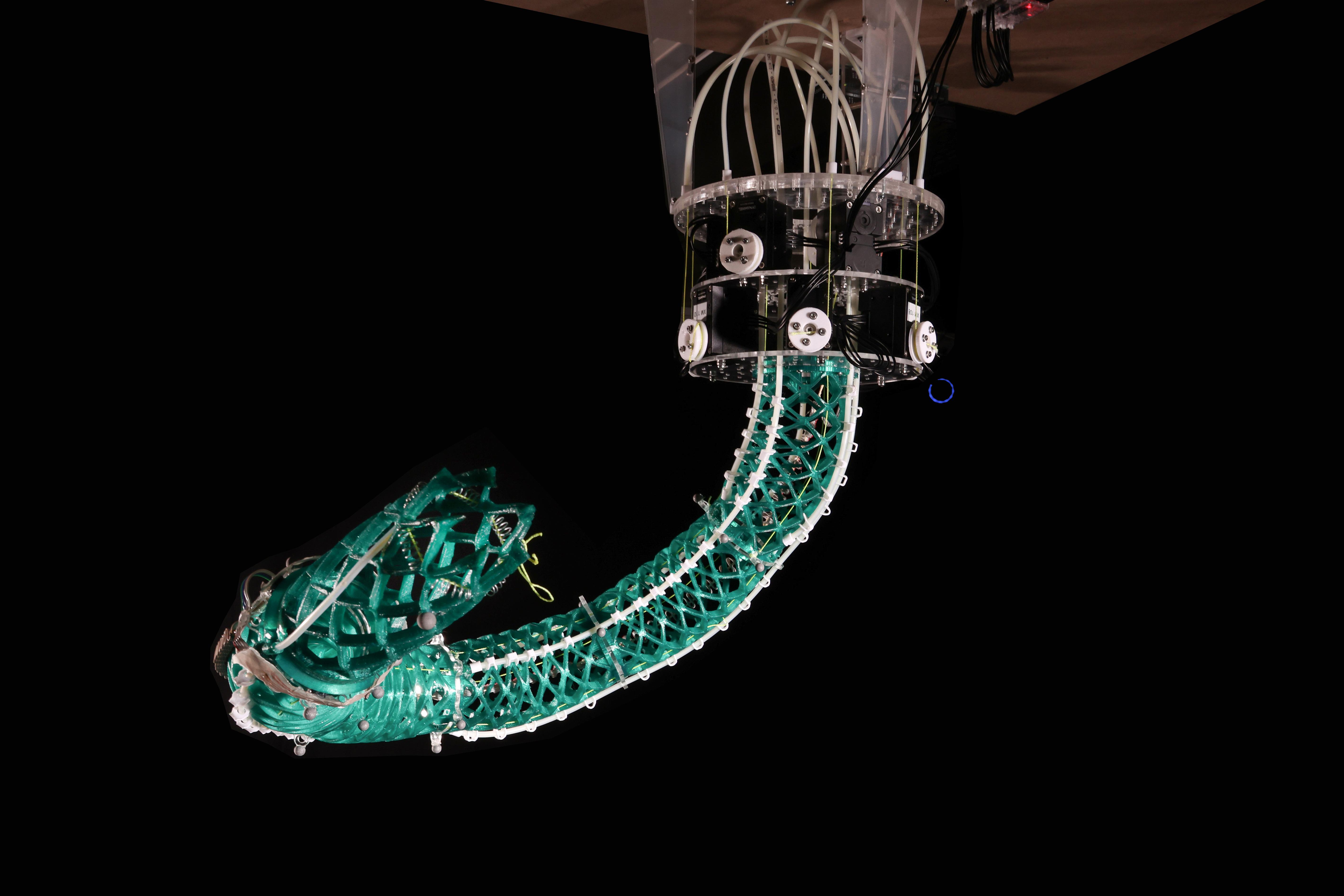 Soft Robot Mimics Elephant Trunk For Human Interaction Mirage News Soft Robot Mimics Elephant Trunk For Human Interaction Mirage News