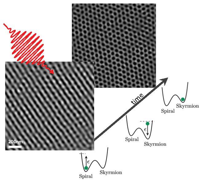 Microscopy images of the helical and skyrmions magnetic states as switched by laser pulses. The photo-induced changes in the energy landscape of the material are also depicted. Credit: F. Carbone (EPFL).
