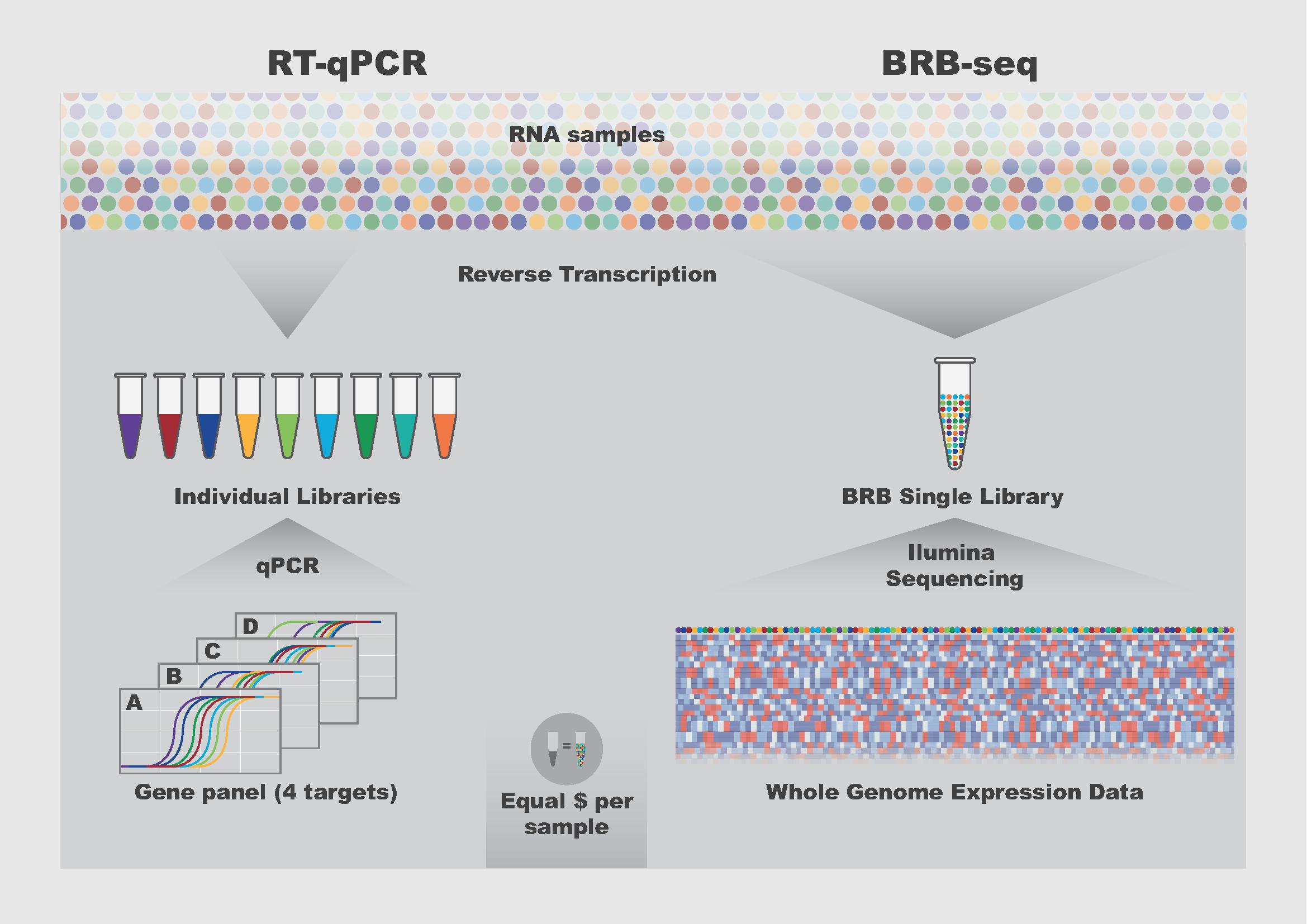BRB-seq – the quick and cheaper future of RNA sequencing