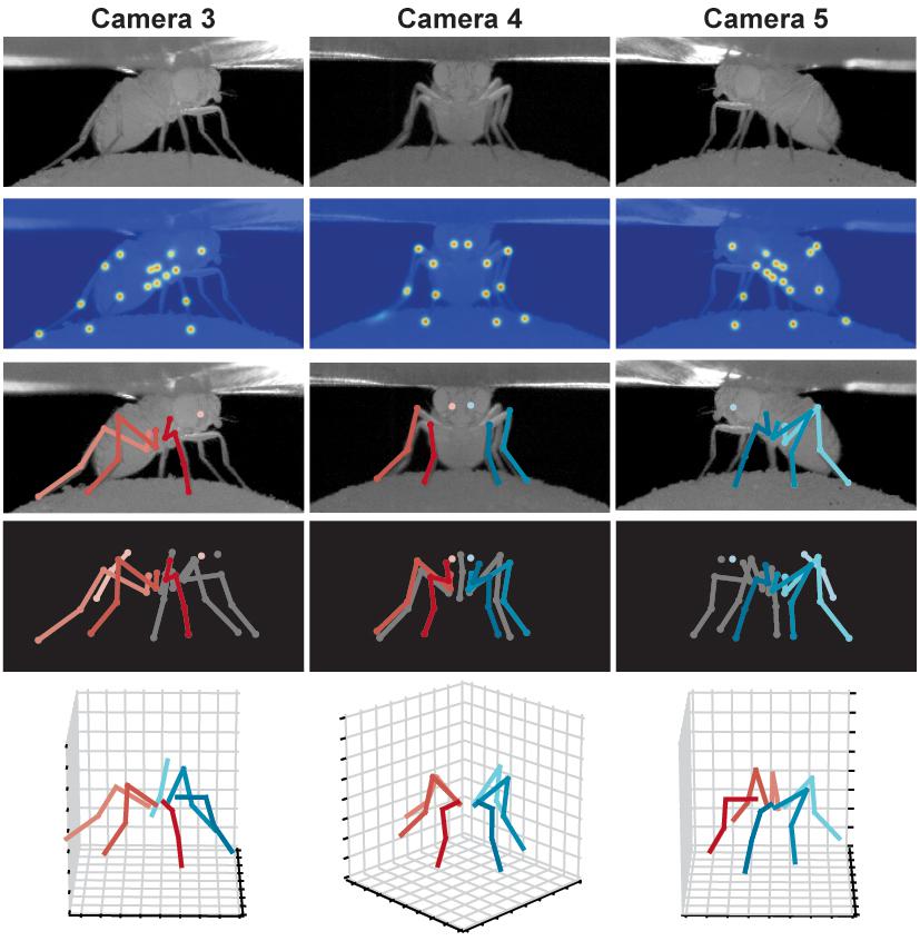 Deep learning hot sale epfl